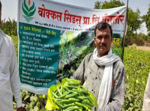 Bhindi field visit at Maharashtra